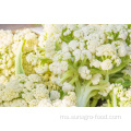 Quality Delicious Frozen Cauliflower